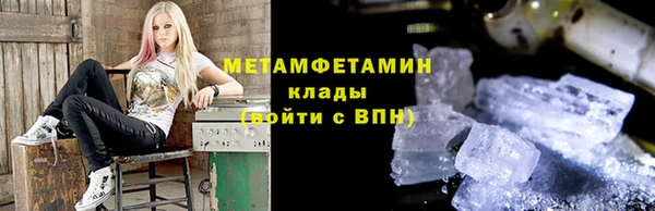 индика Горнозаводск