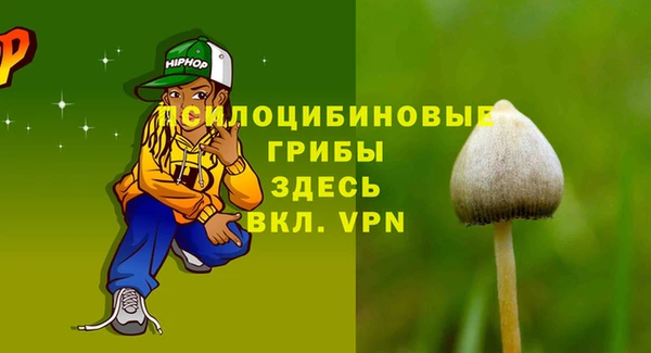 герыч Тутаев